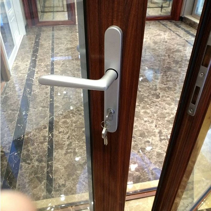 Aluminum Main Door